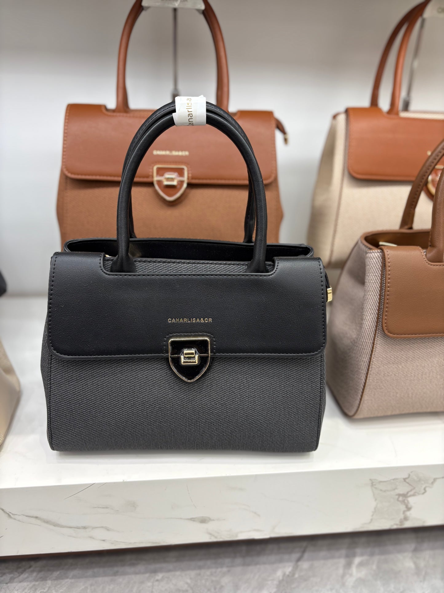 Carnalise & CR Luxury Bag (Black, Coffee, Beige and Brown Colors) 8316