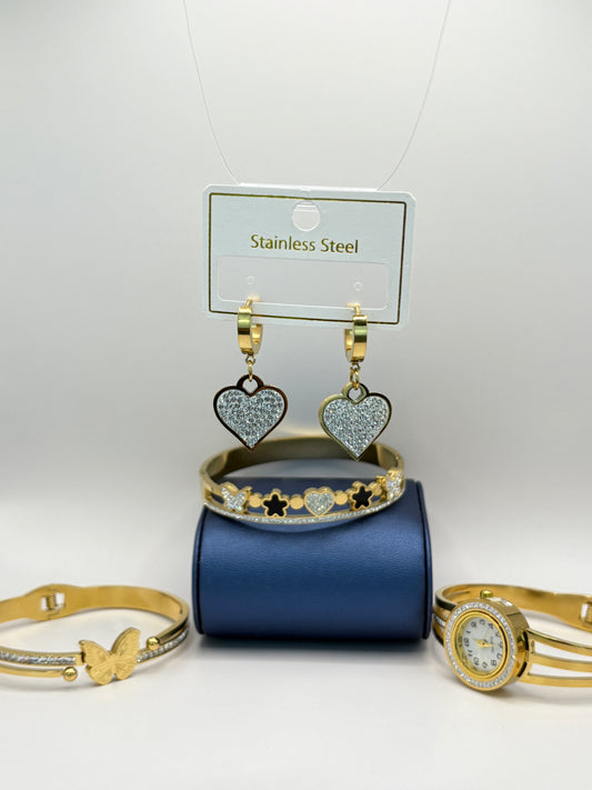 High Quality Earrings (Stainless Steel)